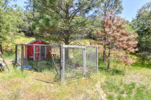 17781 Ridge Rd, Pine Grove, CA 95665 photo 5