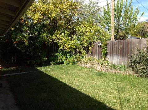 2412 Langford Ave, Modesto, CA 95350 photo 29