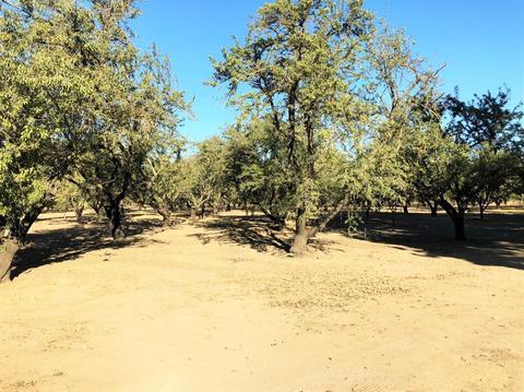 21819 Mcbride Rd, Escalon, CA 95320 photo 5