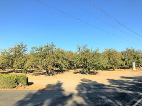 21819 Mcbride Rd, Escalon, CA 95320 photo 4