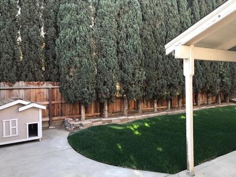 2804 Merle Ave, Modesto, CA 95355 photo 11