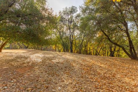 20950 Pineridge Ct, Sonora, CA 95370 photo 28