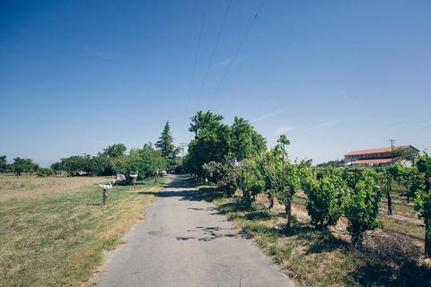 15100 N Devries Rd, Lodi, CA 95242 photo 7