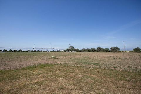 15100 N Devries Rd, Lodi, CA 95242 photo 1