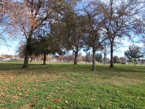 917 Crippen Ave, Modesto, CA 95351 photo 26