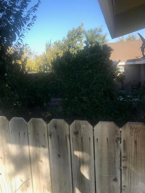 8520 Smith St, Patterson, CA 95363 photo 17