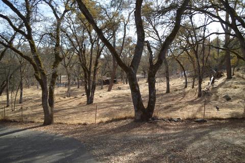 4260 Greenstone Rd, Placerville, CA 95667 photo 35