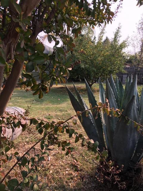 110 E St, Galt, CA 95632 photo 15