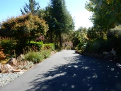 3520 Paydirt Dr, Placerville, CA 95667 photo 6