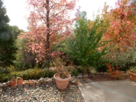 3520 Paydirt Dr, Placerville, CA 95667 photo 4