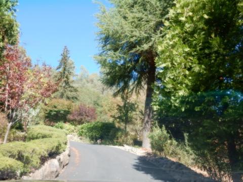 3520 Paydirt Dr, Placerville, CA 95667 photo 5