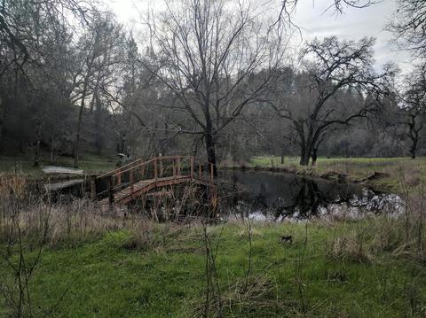 4480 Penobscot Rd, Cool, CA 95614 photo 1