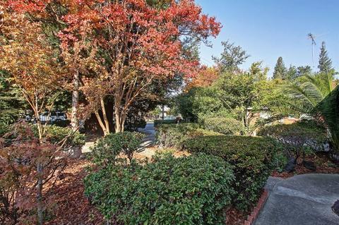 2836 California Ave, Carmichael, CA 95608 photo 2