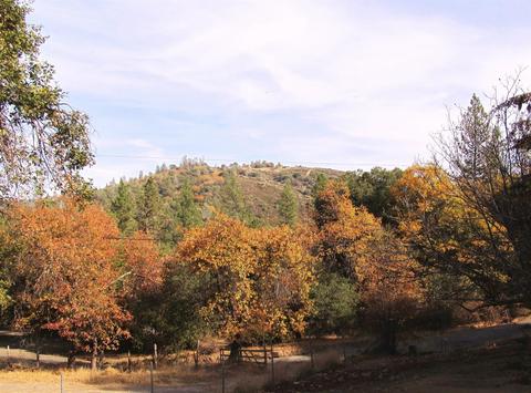 5536 Bucks Bar Cir, Placerville, CA 95667 photo 3