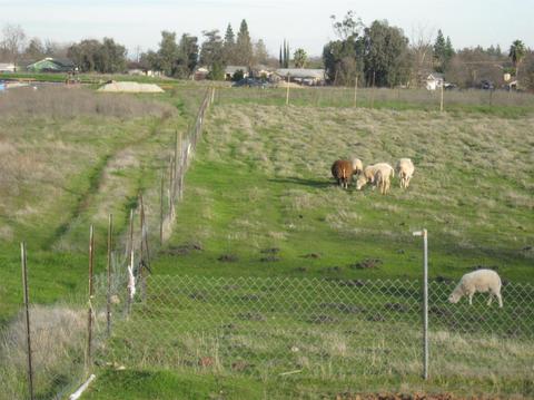 7812 28th St, Antelope, CA 95843 photo 4