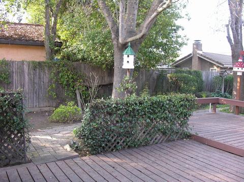 809 Wightman Dr, Lodi, CA 95242 photo 18