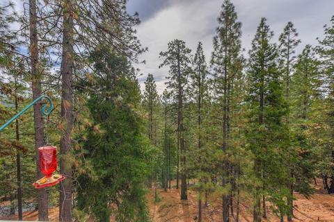 25468 Madrone Ct, Volcano, CA 95689 photo 9