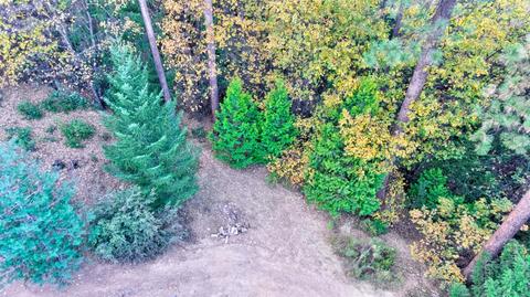 3161 Fox Ln, Placerville, CA 95667 photo 31