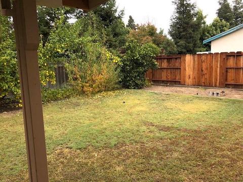 225 Wiley Ct, Turlock, CA 95382 photo 13
