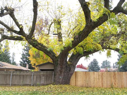 5420 Knox Dr, Linden, CA 95236 photo 30