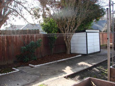 536 Eureka Ave, Lodi, CA 95240 photo 7