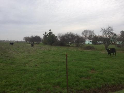 13069 Apple Rd, Wilton, CA 95693 photo 14
