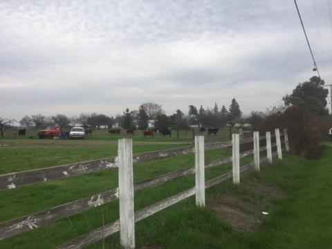 13069 Apple Rd, Wilton, CA 95693 photo 15