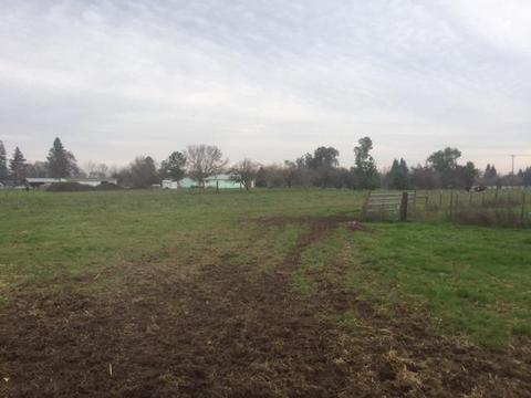 13069 Apple Rd, Wilton, CA 95693 photo 19