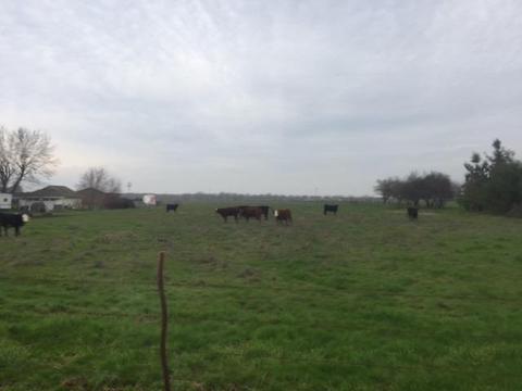13069 Apple Rd, Wilton, CA 95693 photo 13