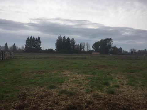 13069 Apple Rd, Wilton, CA 95693 photo 16