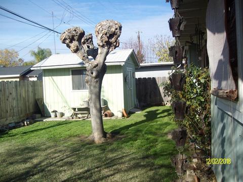 1705 Almond Ave, Merced, CA 95341 photo 16