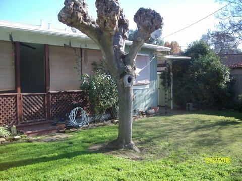1705 Almond Ave, Merced, CA 95341 photo 17