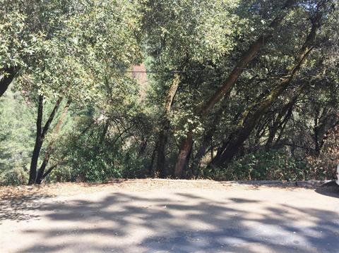 1501 Miners Spring Rd, Placerville, CA 95667 photo 22