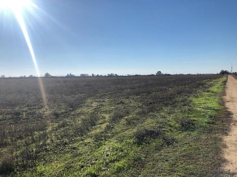 22100 N Devries Rd, Lodi, CA 95242 photo 5