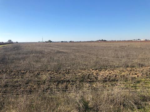 22100 N Devries Rd, Lodi, CA 95242 photo 4