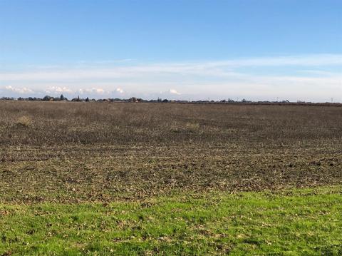 22100 N Devries Rd, Lodi, CA 95242 photo 6