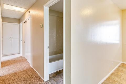 1335 Mitchell Ln, Manteca, CA 95336 photo 15