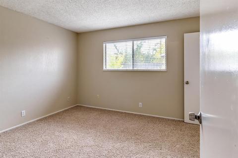 1335 Mitchell Ln, Manteca, CA 95336 photo 19