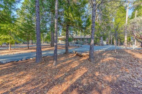 25871 Lupin Rd, Volcano, CA 95689 photo 33