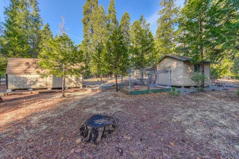 25871 Lupin Rd, Volcano, CA 95689 photo 30
