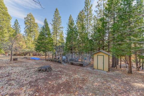 25871 Lupin Rd, Volcano, CA 95689 photo 32