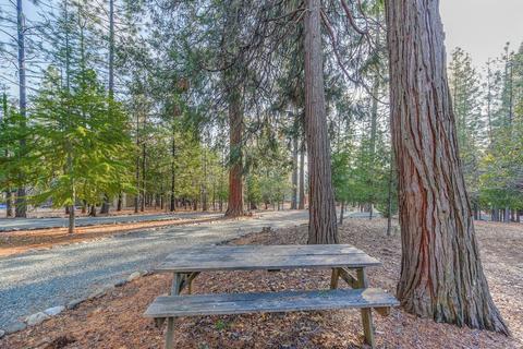 25871 Lupin Rd, Volcano, CA 95689 photo 29