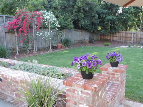 3249 Deodar St, Carmichael, CA 95608 photo 10