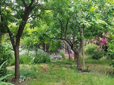 137 Cherry Ln, Campbell, CA 95008 photo 32