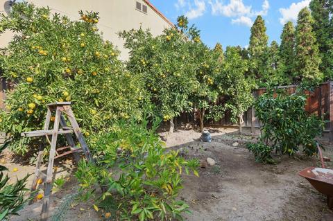 137 Cherry Ln, Campbell, CA 95008 photo 28