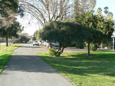 20337 Saint John Rd, Escalon, CA 95320 photo 27