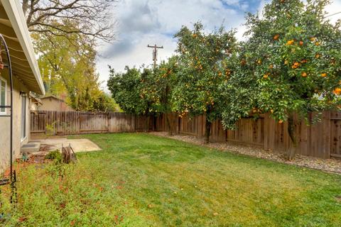 2524 Whittier Dr, Davis, CA 95618 photo 30