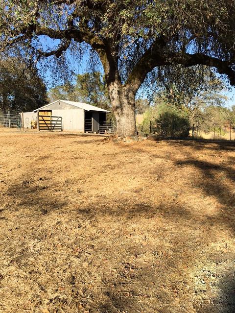 2980 Gillespie Rd, Cool, CA 95614 photo 20
