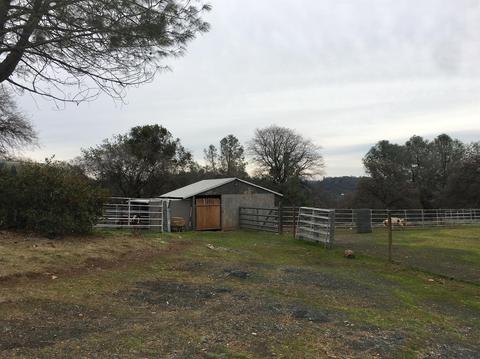 2980 Gillespie Rd, Cool, CA 95614 photo 27