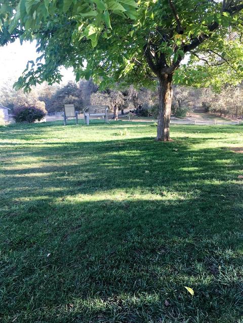 2980 Gillespie Rd, Cool, CA 95614 photo 22